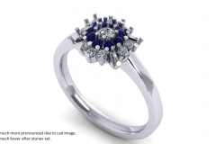 107739WakeForestJewelersD
