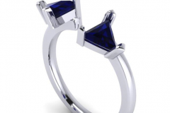 160695WakeForestJewelersA